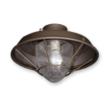 FL-155 Ceiling Fan Light Kit - Antique Bronze