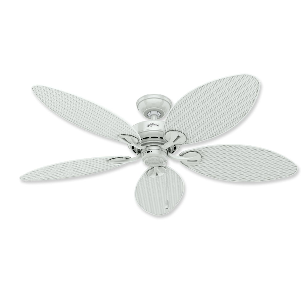 Hunter Ceiling Fan Wont Turn On Shelly Lighting