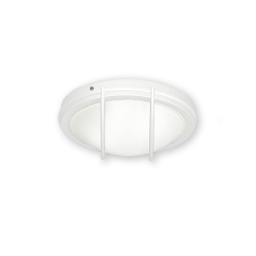 FL163-PW Outdoor Ceiling Fan Light